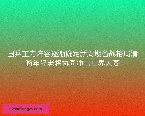 国乒主力阵容逐渐确定新周期备战格局清晰年轻老将协同冲击世界大赛