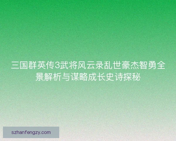 三国群英传3武将风云录乱世豪杰智勇全景解析与谋略成长史诗探秘