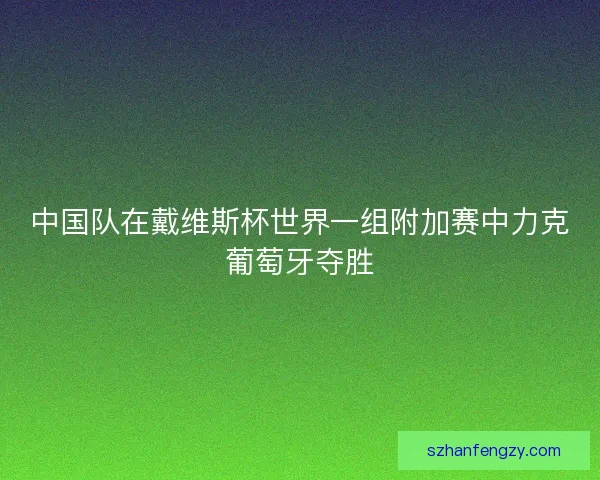 中国队在戴维斯杯世界一组附加赛中力克葡萄牙夺胜