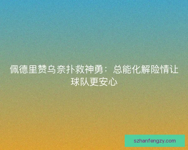 佩德里赞乌奈扑救神勇：总能化解险情让球队更安心